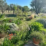 Hidden Eden Garden