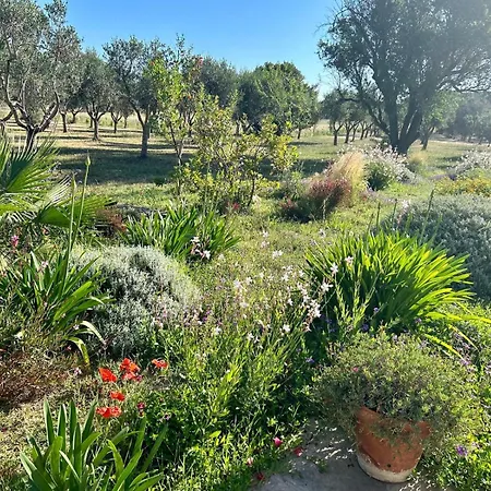Hidden Eden Garden